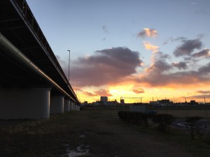 IMG_2841