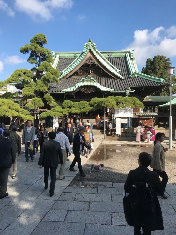 小林の土曜日